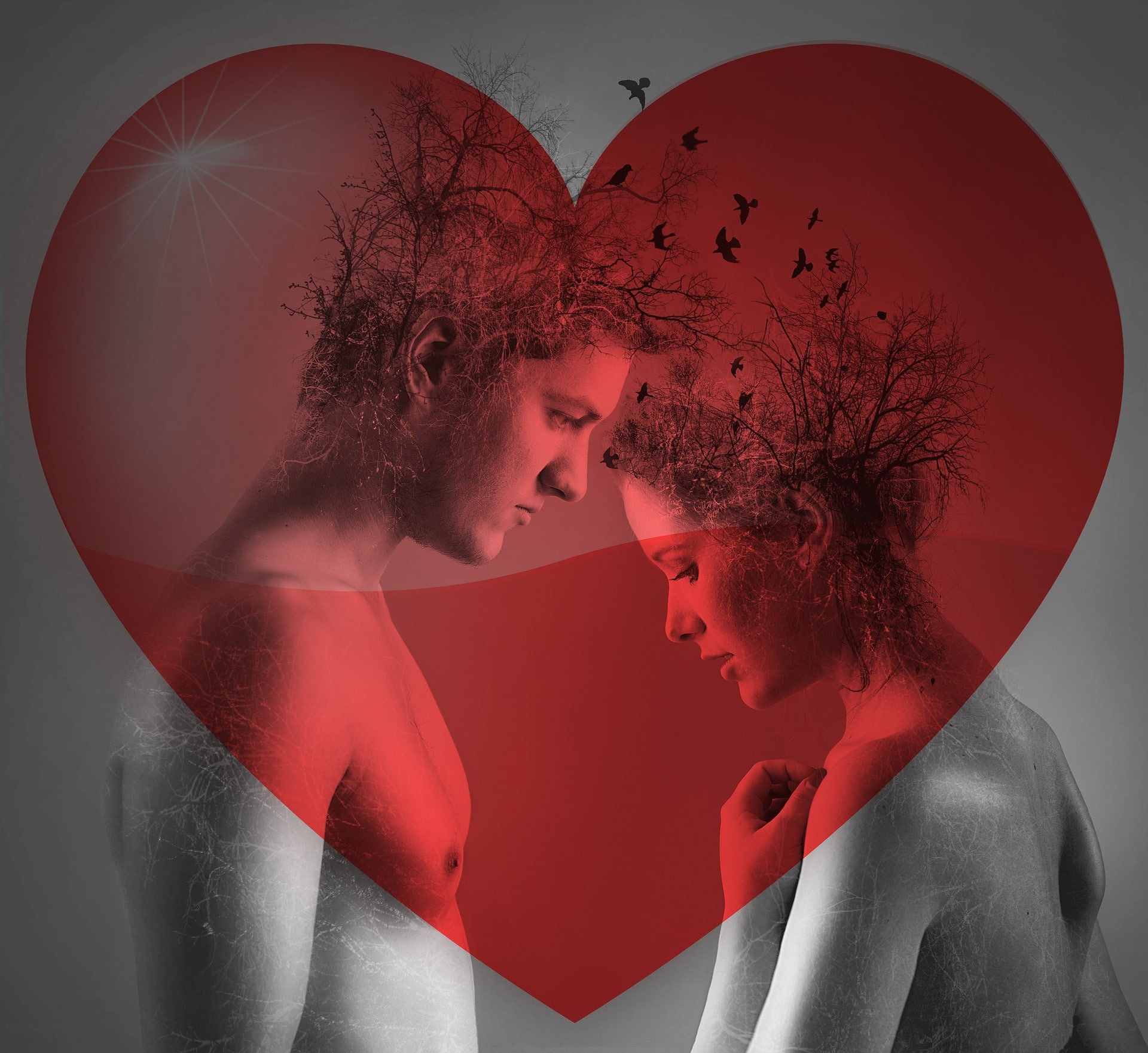 love-3189932_1920 Article/Blog